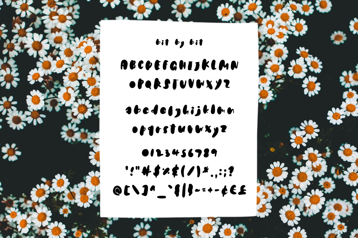 Bit by Bit handwritten font, a Handwritten Font by jyllyco (Photo 6 of 6)