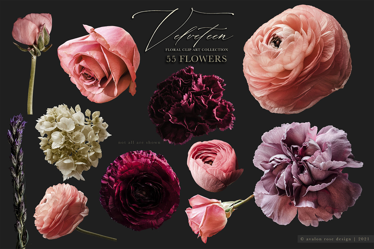 Velveteen Floral Clip Art Collection, an Object Graphic by Eclectic Anthology (Photo 17 of 19)