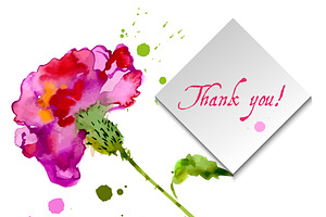 №10 Red carnations blooming