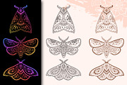 Butterfly & flowers, a Decorative Illustration by Katika Shop (Thumbnail 2 of 9)
