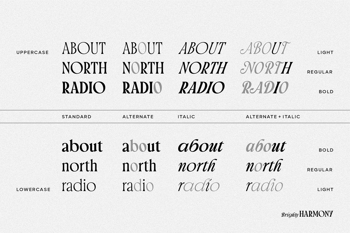 Brighty Harmony | Serif font family, a Font by Digitype Studio (Photo 5 of 15)