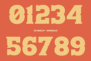 CS Modley – Western Font, a Slab Serif Font by Craft Supply Co. (Thumbnail 4 of 8)