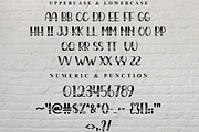 Magnolia, a Script Font by InermediaSTUDIO (Thumbnail 8 of 8)