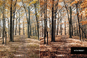 Autumn Presets For Mobile & Desktop, a Preset Add-On by Hubzway (Thumbnail 6 of 6)