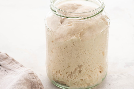 Natural leaven for bread in a glass stock photo containing leaven and bread