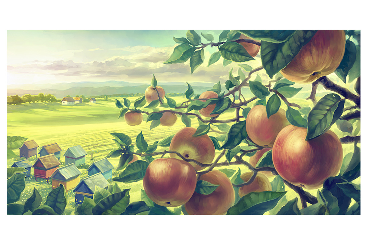 Apple set, a Food Illustration by Countryside life (Photo 7 of 12)