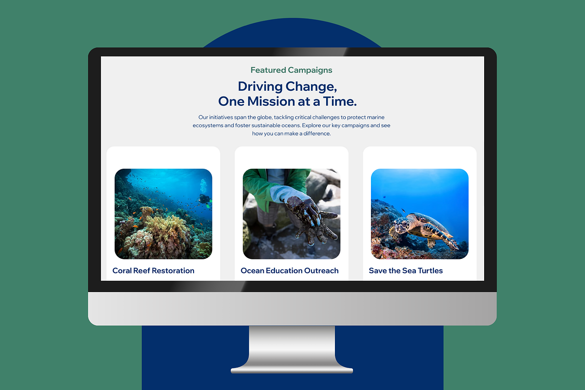 Non-Profit Wix Studio Template, a Wix Template by Collette Collabs (Photo 4 of 6)