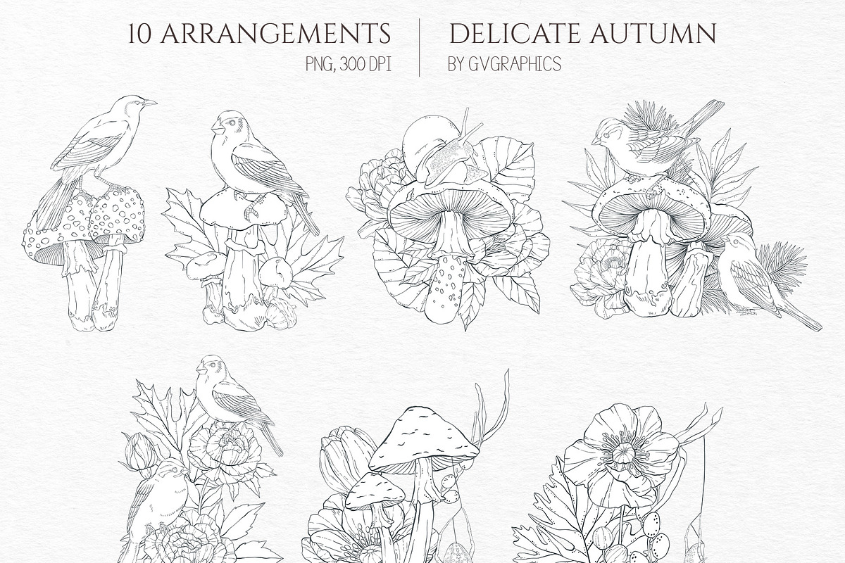 Delicate Autumn Collection, a Seasonal Illustration by GVGraphics (Photo 5 of 15)