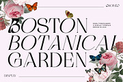 Cholleo Display, a Serif Font by Dora Typefoundry (Thumbnail 3 of 18)