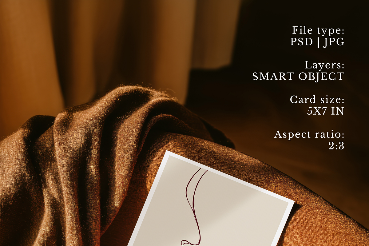 Vintage Velvet 5x7 Invitation Mockup, a Product Mockup by Serenefeeling (Photo 3 of 6)