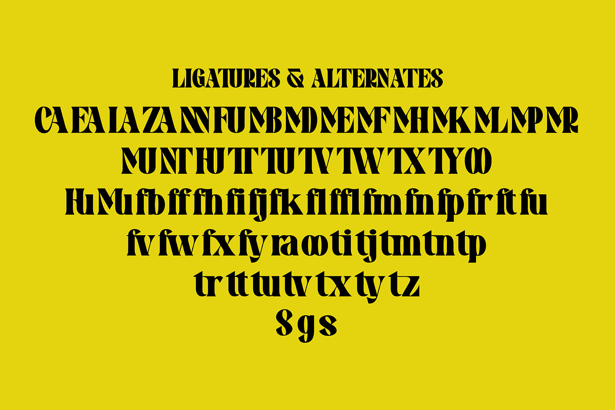 Pronema - Modern Serif, a Serif Font by tebaltipislab (Photo 2 of 13)