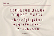 Melione – Elegant Modern Serif Font, a Serif Font by BrandSemut (Thumbnail 8 of 10)