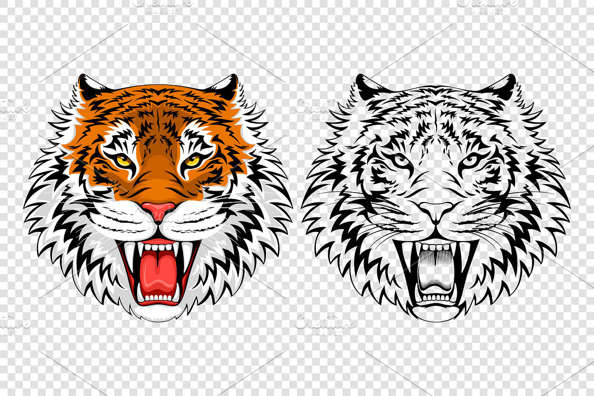 Tiger portraits set, an Animal Illustration by Vector beauty (Photo 3 of 3)