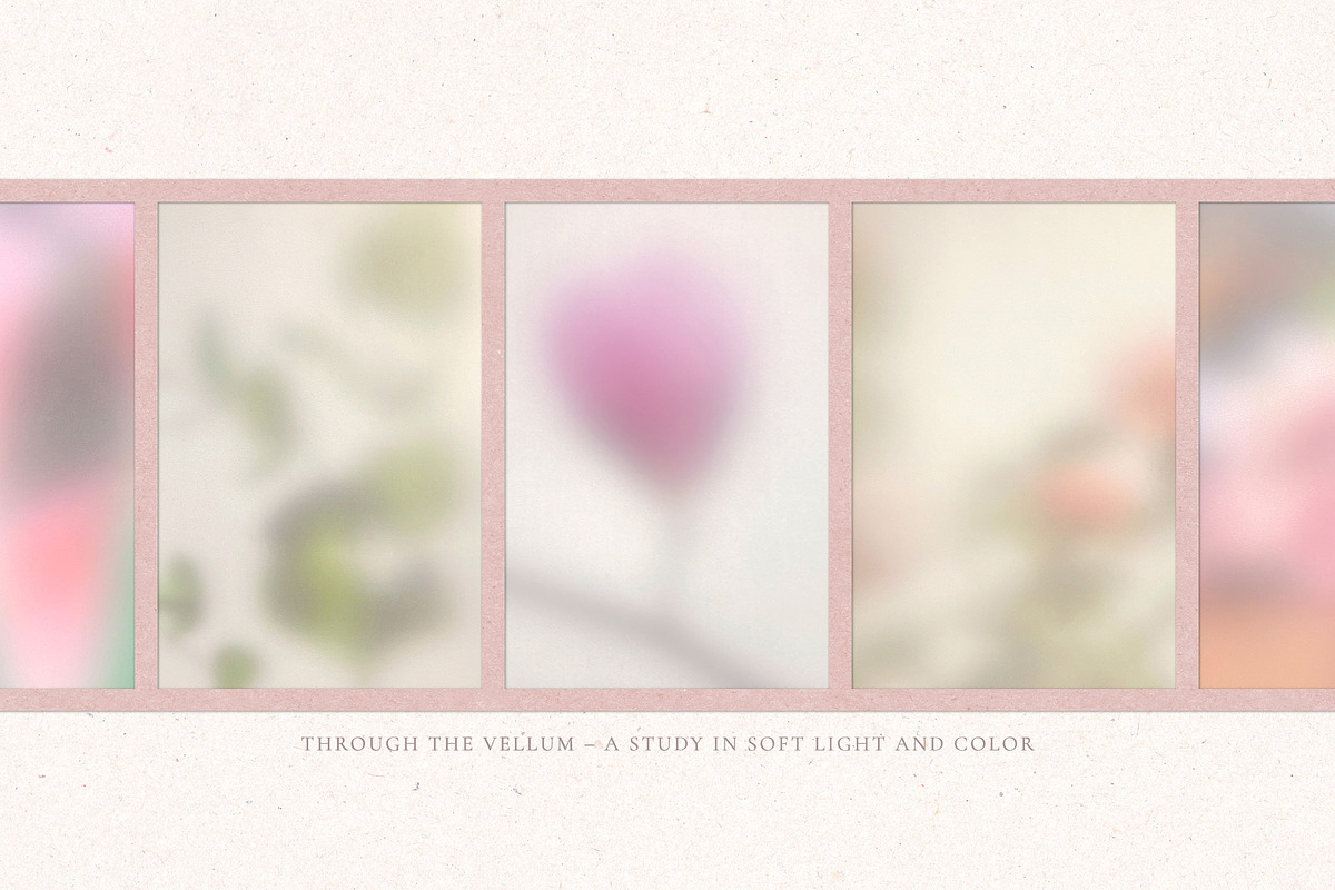 Through the Vellum - Backgrounds, a Background Graphic by Dina Mae (Photo 7 of 13)