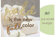 White Pumpkin Instagram Overlays, a Social Media Template by lovemyHappyVibes (Thumbnail 2 of 4)