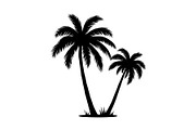Summer Beach Palm Bundle, an Illustration by jahid234 (Thumbnail 11 of 21)