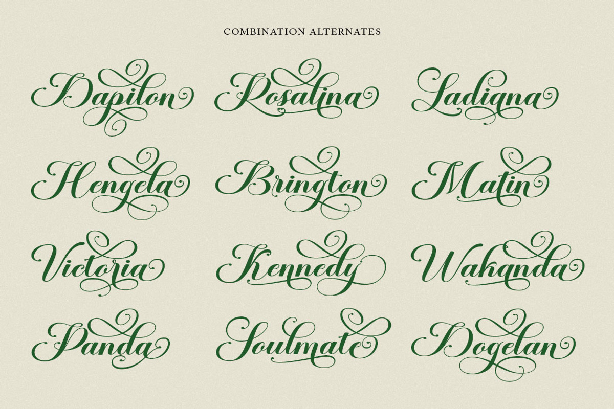 Dapilon Script, a Script Font by Has_rizal (Photo 5 of 11)