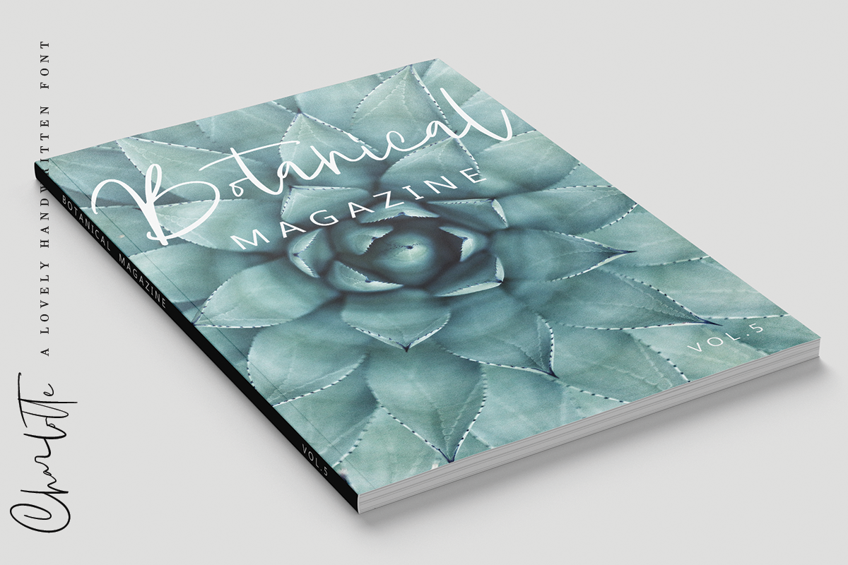 Charlotte | Handwritten Font preview 7