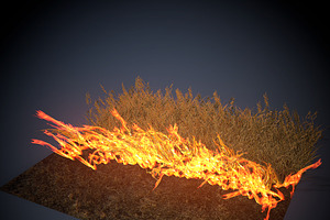 Burning Grass