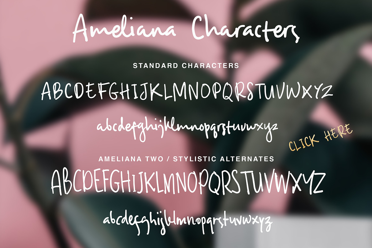 Ameliana, a Script Font by Get Studio (Photo 11 of 11)