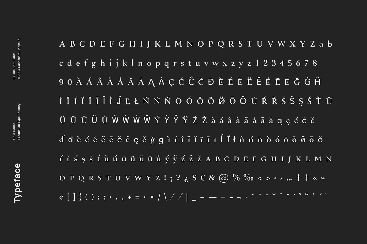 Alloy - A Sharp Serif Typeface, a Serif Font by Cassandra Cappello (Photo 7 of 7)