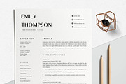 Resume Template Professional, a Resume Template by LucaTheme (Thumbnail 1 of 10)