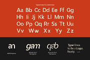 Vexane – Editoral Logo fonts, a Sans Serif Font by WhymoreArt (Thumbnail 5 of 14)