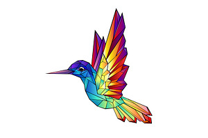 Rainbow Hummingbird