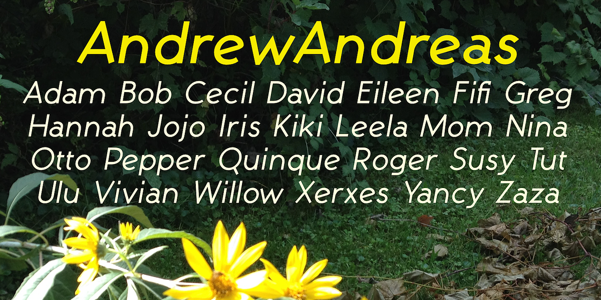 AndrewAndreas, a Sans Serif Font by Ingrimayne Type (Photo 3 of 8)