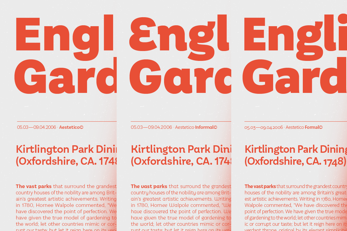 Aestetico, a Sans Serif Font by Latinotype (Photo 9 of 15)