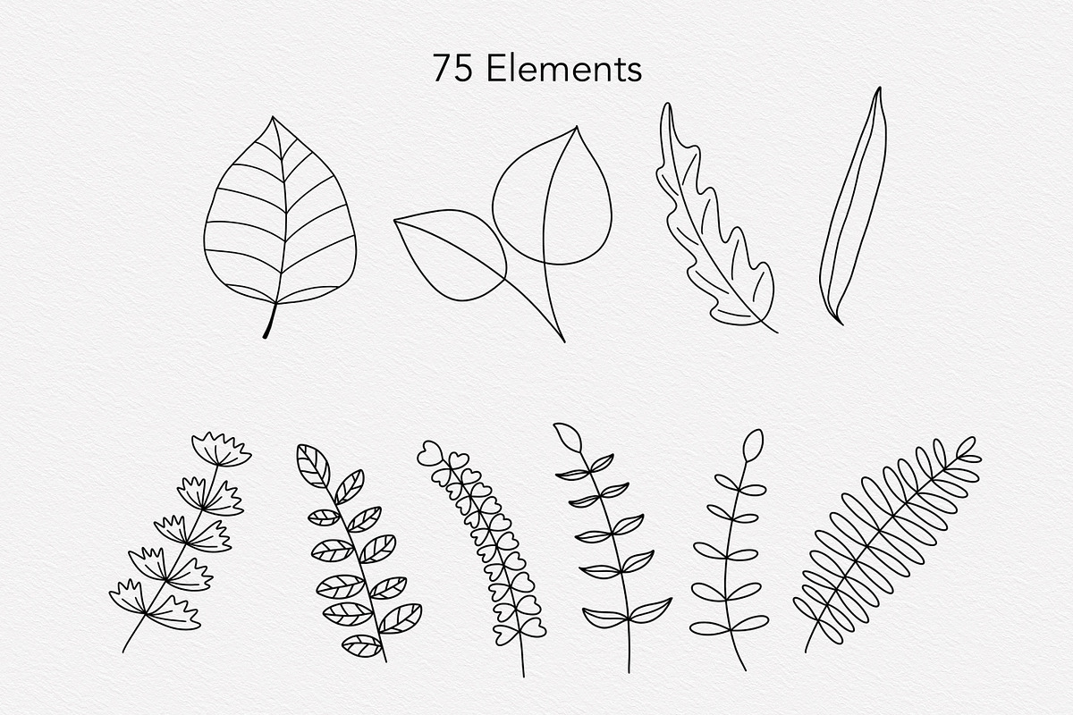 Lovely Floral Doodles, a Brush Add-On by Sense Library (Photo 12 of 30)