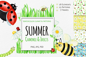 Summer Ladybug & Chamomile clipart
