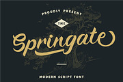 Springate - Modern Script Font, a Script Font by PutraCetol Studio (Thumbnail 1 of 9)