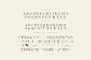 Blore - Elegant Serif Font, a Serif Font by suhadidesign (Thumbnail 12 of 12)