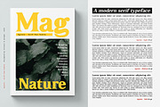 Agentic - Serif font family, a Serif Font by Artistic & Unique (Thumbnail 8 of 13)