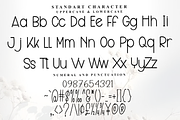 Biscuits, a Sans Serif Font by FreshTypeINK (Thumbnail 3 of 7)