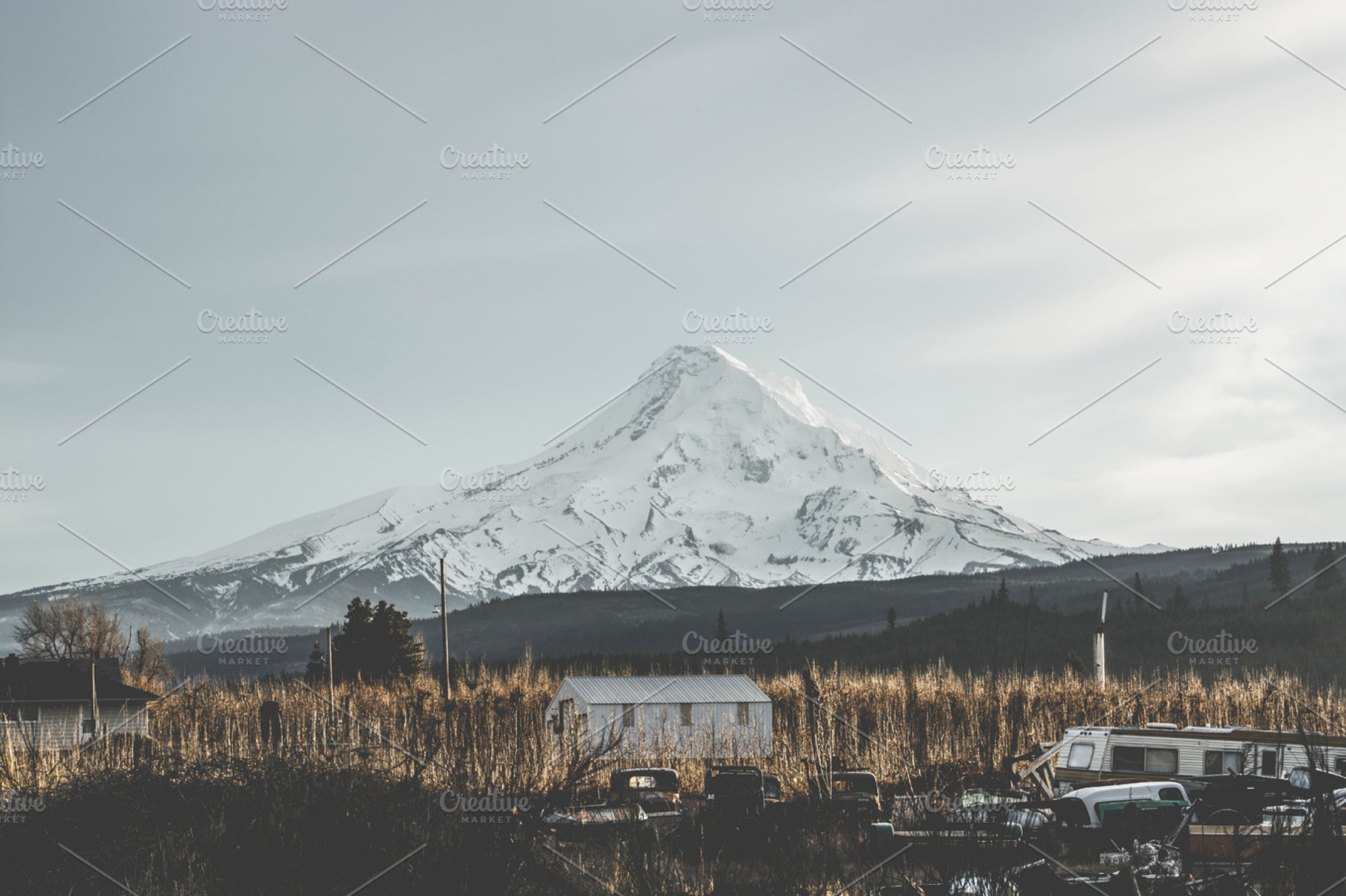 Mt hood stock photograph, a Nature Photo by Owl Design