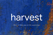 Grunge Distress Texture Backgrounds, a Texture Graphic by Oleg and Katja (Thumbnail 1 of 15)