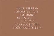Equinox Stylish Font duo & logo set, a Slab Serif Font by Studio Aurora (Thumbnail 8 of 13)