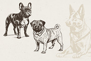 215 Dog Illustrations, an Animal Illustration by Nocturnal Wolf (Thumbnail 8 of 14)