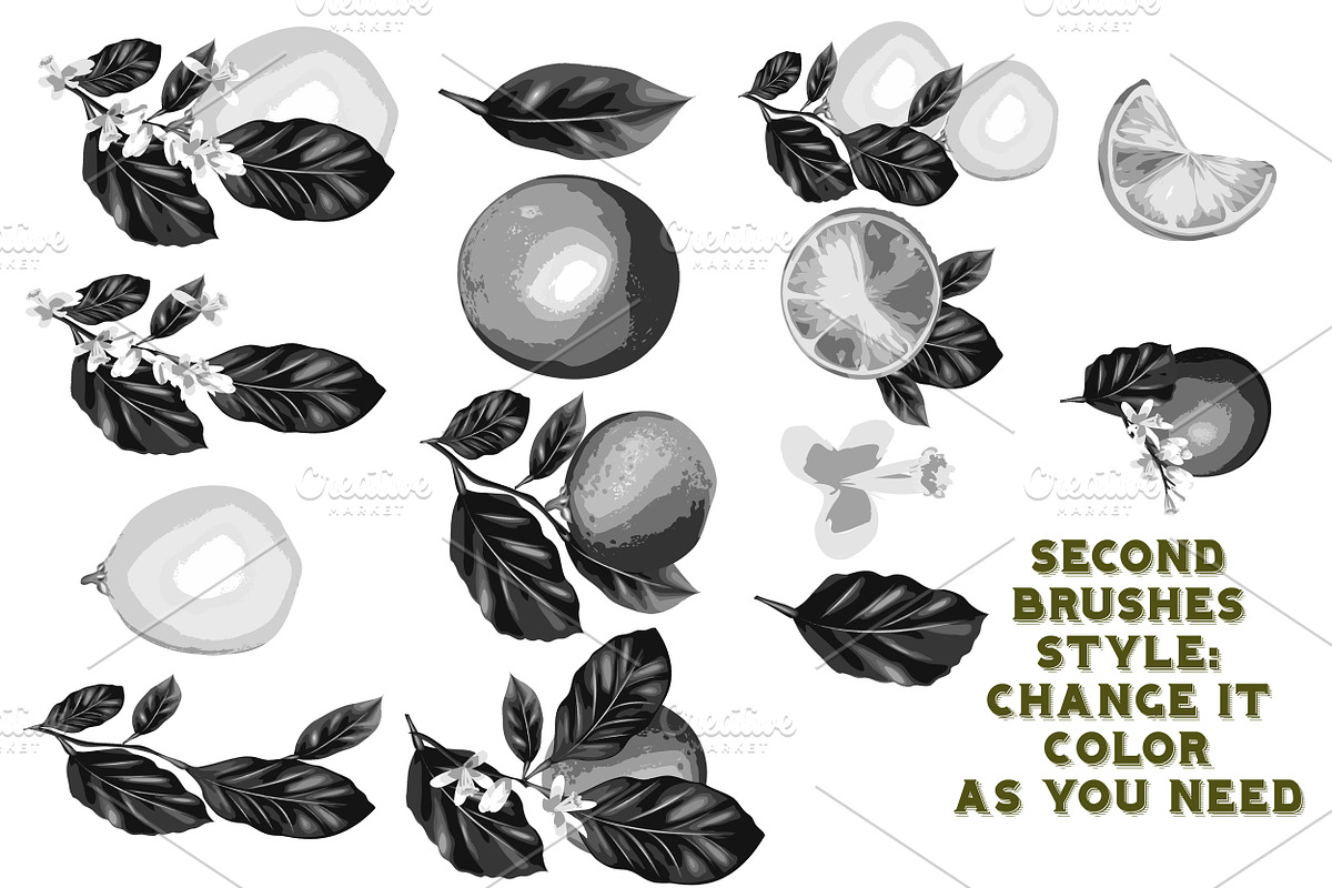 set of flowers brushes2 preview 3