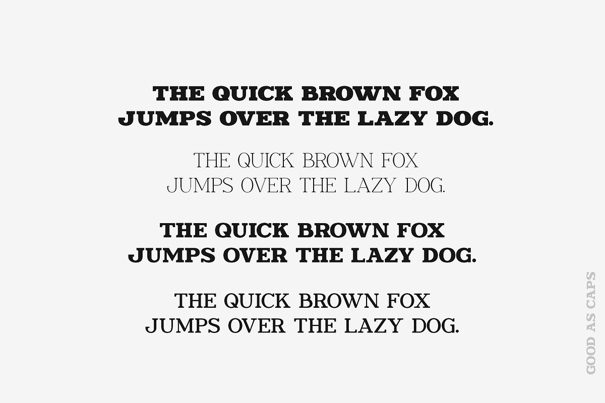 Ronald Gunfire Serif Font Family, a Slab Serif Font by Sentavio (Photo 7 of 12)