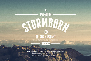 11 Trendy Vintage Insignias Vol.1