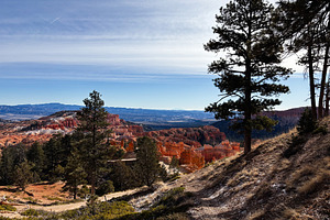Scenic Utah canyon landscape with red rock formations and pine trees overlookin, a Nature Photo by AS photostudio