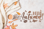 Magic Winter - Modern Calligraphy, a Script Font by Almeera Std (Thumbnail 8 of 11)