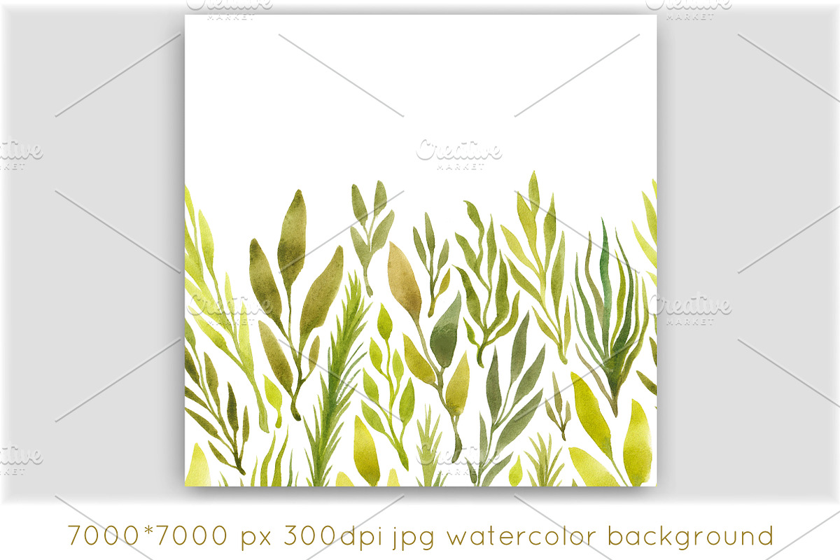 Watercolor herbs seamless pattern, a Pattern Graphic by IreneArt illustrations (Photo 3 of 5)