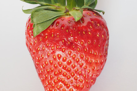 strawberry fruit food, a Photo by WorldPhotos