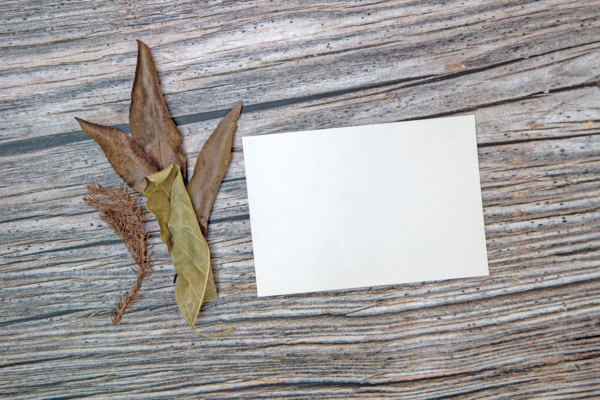 A5 Paper Mockups with autumn themes, a Print Template by shahsoft (Photo 3 of 3)