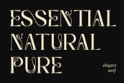 Herva - Decorative Elegant Serif, a Serif Font by Pandeka Studio (Thumbnail 8 of 12)
