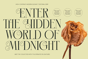 Hidden Midnight Modern Elegant Serif, a Serif Font by timelesstype.co